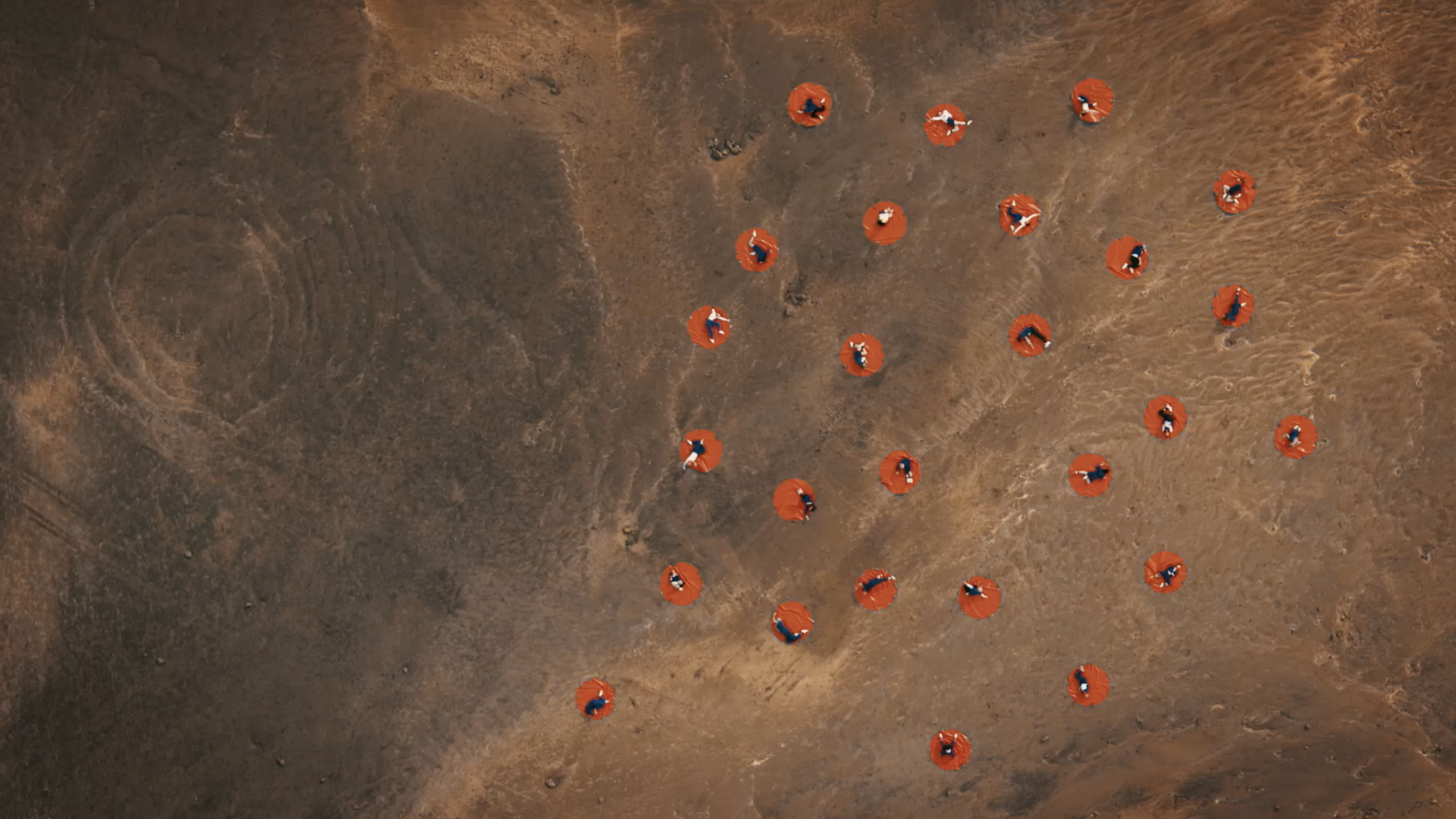 See Circumstance online.